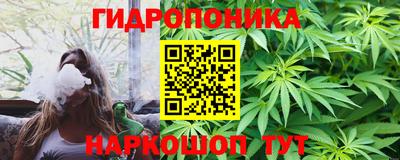 индика Ликино-Дулёво
