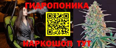 mdpv Лесосибирск
