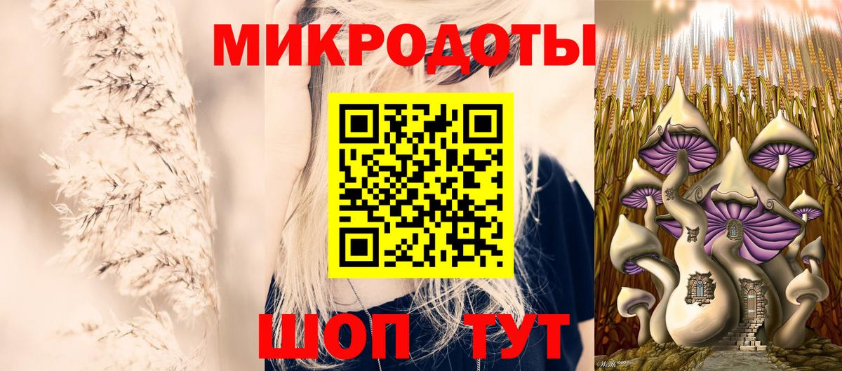 Галлюциногенные грибы Psilocybe Топки