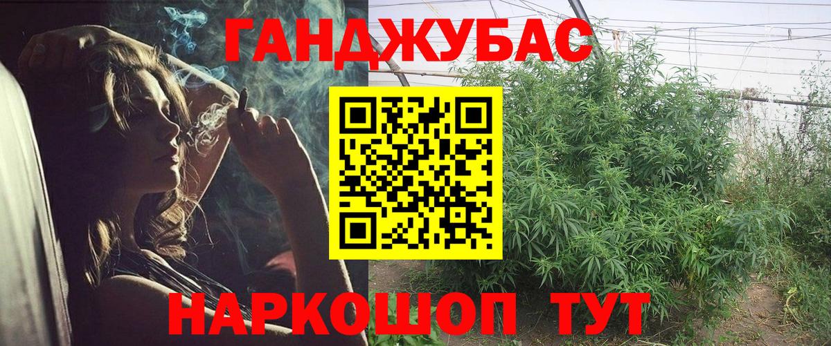 Конопля сатива  Вход с VPN  Шишки марихуана Bruce Banner  Топки  Марихуана планчик 